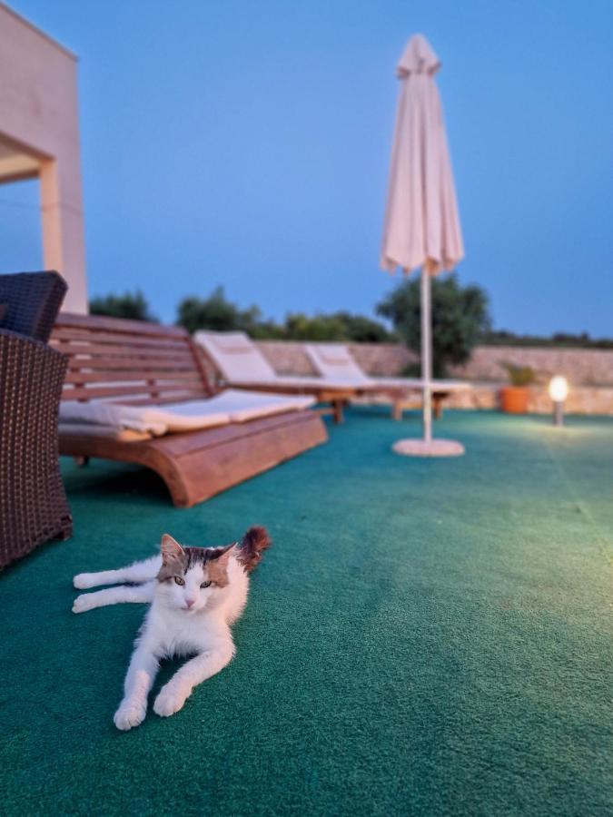 Vila Cicovac Novalja Dış mekan fotoğraf